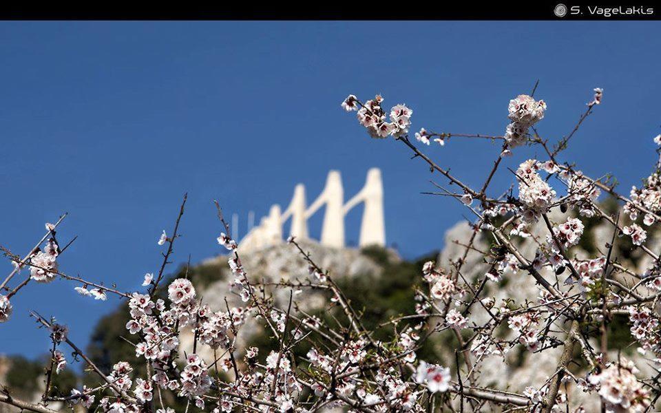 Hotel Fotini Митикас Экстерьер фото